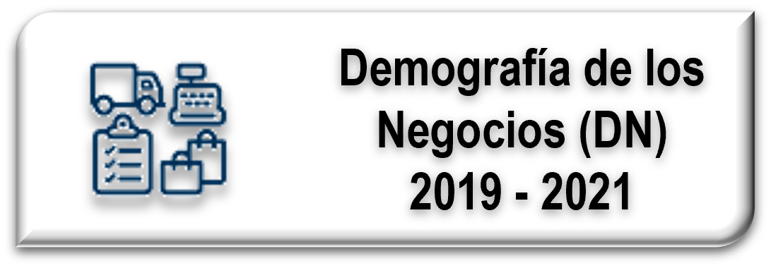 Demografía de los Negocios (DN) 2019 - 2021