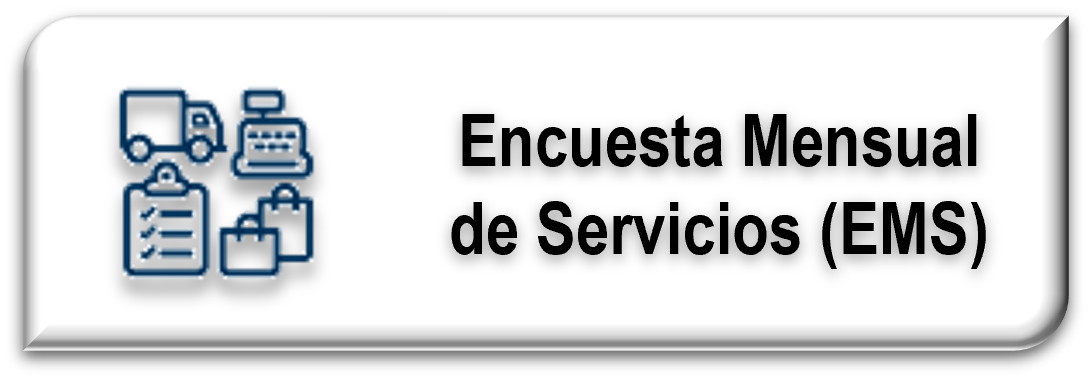 Encuesta Mensual de Servicios (EMS)